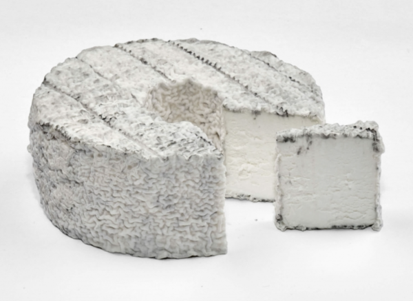 Rouelle du Tarn cendré